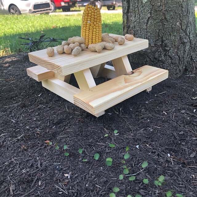 SquirrelRusShop - Handmade Squirrel Picnic Tables - Storepreneur.com