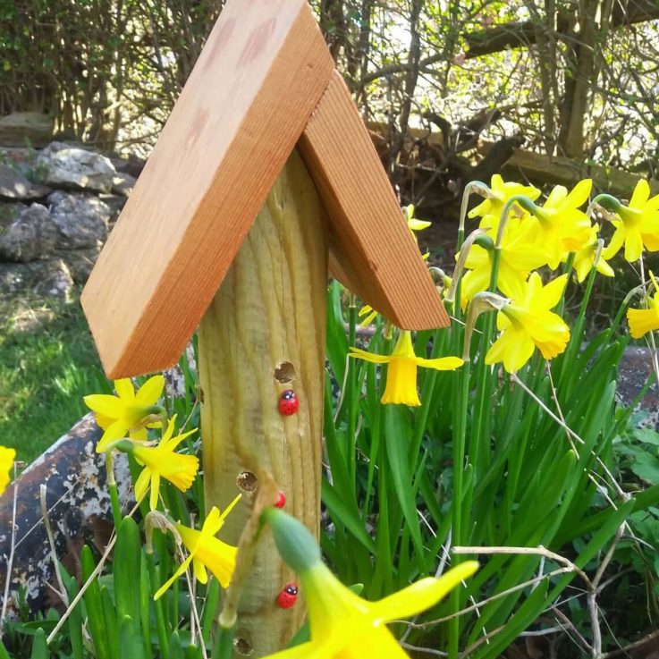 Ornamental - Rustic -Wooden - Garden - Bug House -Decorated with Ladybirds